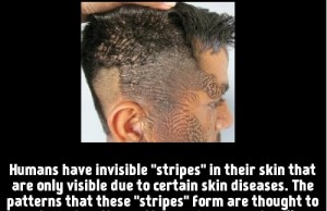 invisible stripes
